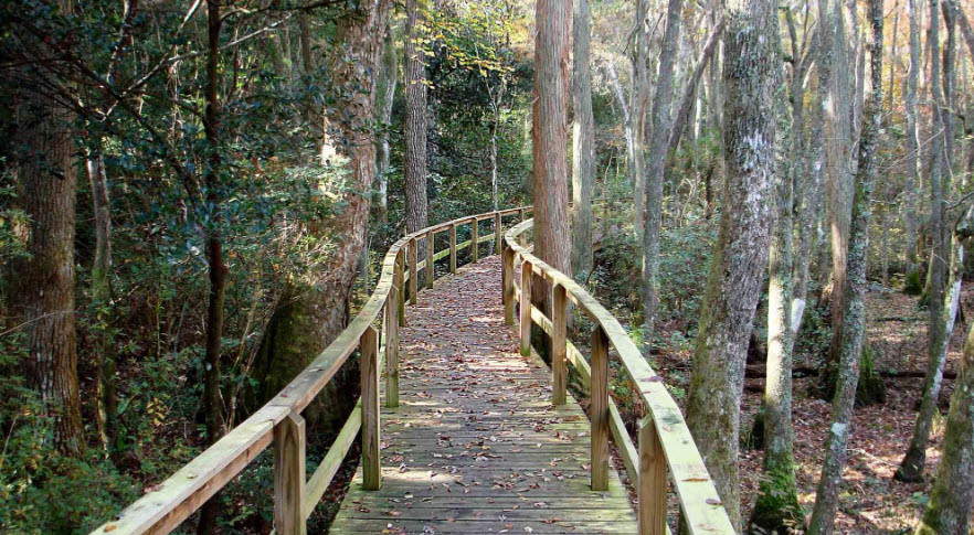 Kalmia Gardens, United States